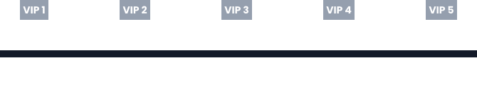vip grade